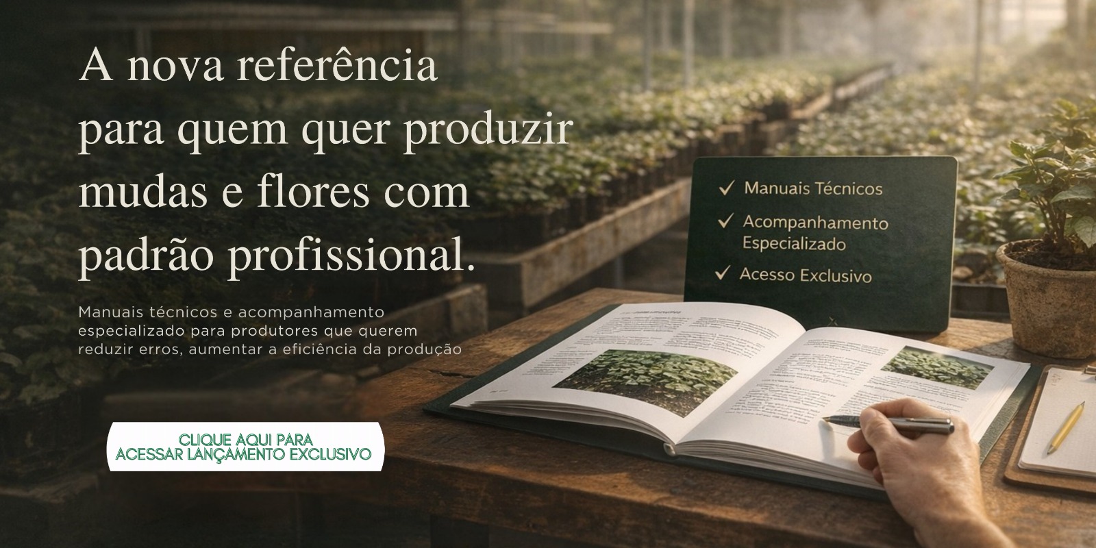Banner de lancamento exclusivo Bazzani